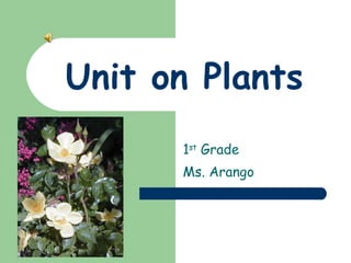 Unit on Plants 1 st  Grade  Ms. Arango 