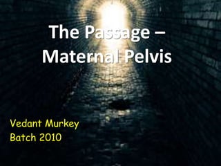 The Passage –
Maternal Pelvis
Vedant Murkey
Batch 2010
 