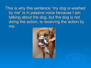 This is why this sentence “my dog is washed
 by me” is in passive voice because I am
 talking about the dog, but the dog is not
 doing the action, is receiving the action by
 me.
 