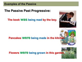 Examples of the Passive

The Passive Past Progressive:

  The book was being read by the boy.




   Pancakes were being made in the kitchen.




   Flowers were being grown in this garden.
 