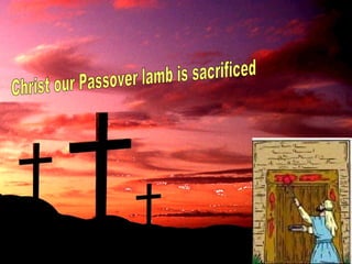 Christ our Passover lamb is sacrificed 
