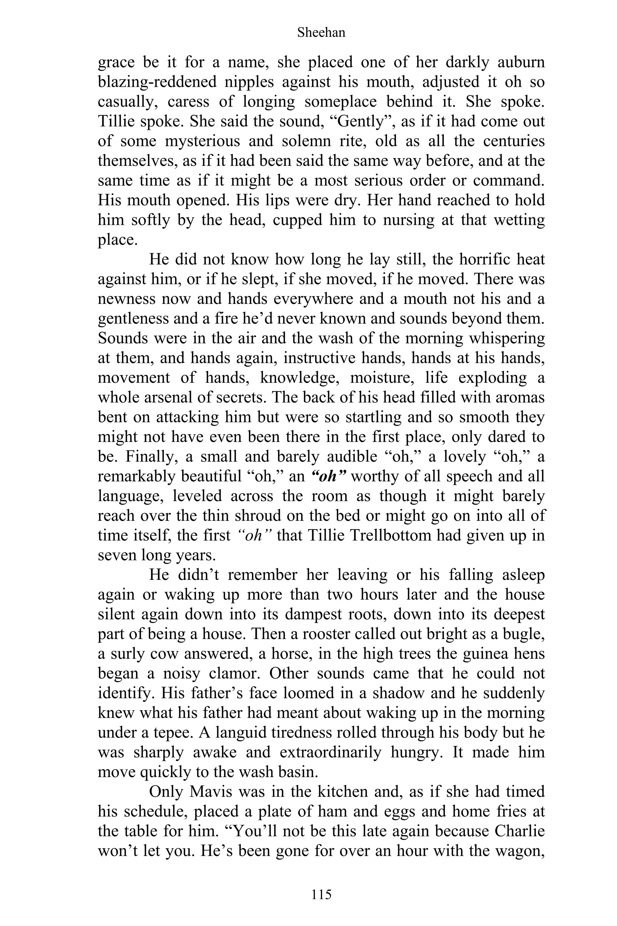 Sheehan
115
grace be it for a name, she placed one of her darkly auburn
blazing-reddened nipples against his mouth, adjusted it oh so
casually, caress of longing someplace behind it. She spoke.
Tillie spoke. She said the sound, “Gently”, as if it had come out
of some mysterious and solemn rite, old as all the centuries
themselves, as if it had been said the same way before, and at the
same time as if it might be a most serious order or command.
His mouth opened. His lips were dry. Her hand reached to hold
him softly by the head, cupped him to nursing at that wetting
place.
He did not know how long he lay still, the horrific heat
against him, or if he slept, if she moved, if he moved. There was
newness now and hands everywhere and a mouth not his and a
gentleness and a fire he’d never known and sounds beyond them.
Sounds were in the air and the wash of the morning whispering
at them, and hands again, instructive hands, hands at his hands,
movement of hands, knowledge, moisture, life exploding a
whole arsenal of secrets. The back of his head filled with aromas
bent on attacking him but were so startling and so smooth they
might not have even been there in the first place, only dared to
be. Finally, a small and barely audible “oh,” a lovely “oh,” a
remarkably beautiful “oh,” an “oh” worthy of all speech and all
language, leveled across the room as though it might barely
reach over the thin shroud on the bed or might go on into all of
time itself, the first “oh” that Tillie Trellbottom had given up in
seven long years.
He didn’t remember her leaving or his falling asleep
again or waking up more than two hours later and the house
silent again down into its dampest roots, down into its deepest
part of being a house. Then a rooster called out bright as a bugle,
a surly cow answered, a horse, in the high trees the guinea hens
began a noisy clamor. Other sounds came that he could not
identify. His father’s face loomed in a shadow and he suddenly
knew what his father had meant about waking up in the morning
under a tepee. A languid tiredness rolled through his body but he
was sharply awake and extraordinarily hungry. It made him
move quickly to the wash basin.
Only Mavis was in the kitchen and, as if she had timed
his schedule, placed a plate of ham and eggs and home fries at
the table for him. “You’ll not be this late again because Charlie
won’t let you. He’s been gone for over an hour with the wagon,
 