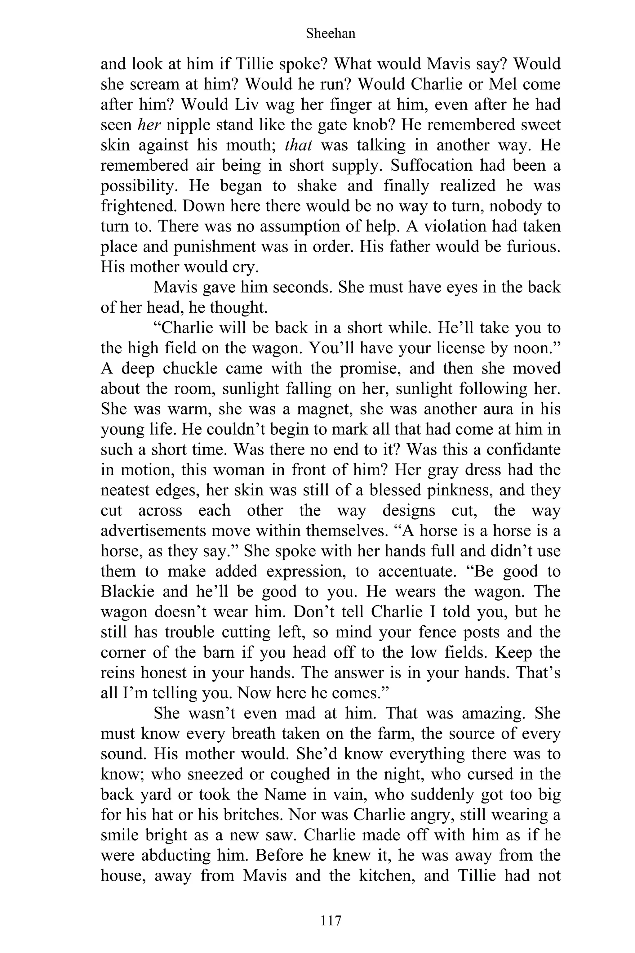 Sheehan
117
and look at him if Tillie spoke? What would Mavis say? Would
she scream at him? Would he run? Would Charlie or Mel come
after him? Would Liv wag her finger at him, even after he had
seen her nipple stand like the gate knob? He remembered sweet
skin against his mouth; that was talking in another way. He
remembered air being in short supply. Suffocation had been a
possibility. He began to shake and finally realized he was
frightened. Down here there would be no way to turn, nobody to
turn to. There was no assumption of help. A violation had taken
place and punishment was in order. His father would be furious.
His mother would cry.
Mavis gave him seconds. She must have eyes in the back
of her head, he thought.
“Charlie will be back in a short while. He’ll take you to
the high field on the wagon. You’ll have your license by noon.”
A deep chuckle came with the promise, and then she moved
about the room, sunlight falling on her, sunlight following her.
She was warm, she was a magnet, she was another aura in his
young life. He couldn’t begin to mark all that had come at him in
such a short time. Was there no end to it? Was this a confidante
in motion, this woman in front of him? Her gray dress had the
neatest edges, her skin was still of a blessed pinkness, and they
cut across each other the way designs cut, the way
advertisements move within themselves. “A horse is a horse is a
horse, as they say.” She spoke with her hands full and didn’t use
them to make added expression, to accentuate. “Be good to
Blackie and he’ll be good to you. He wears the wagon. The
wagon doesn’t wear him. Don’t tell Charlie I told you, but he
still has trouble cutting left, so mind your fence posts and the
corner of the barn if you head off to the low fields. Keep the
reins honest in your hands. The answer is in your hands. That’s
all I’m telling you. Now here he comes.”
She wasn’t even mad at him. That was amazing. She
must know every breath taken on the farm, the source of every
sound. His mother would. She’d know everything there was to
know; who sneezed or coughed in the night, who cursed in the
back yard or took the Name in vain, who suddenly got too big
for his hat or his britches. Nor was Charlie angry, still wearing a
smile bright as a new saw. Charlie made off with him as if he
were abducting him. Before he knew it, he was away from the
house, away from Mavis and the kitchen, and Tillie had not
 