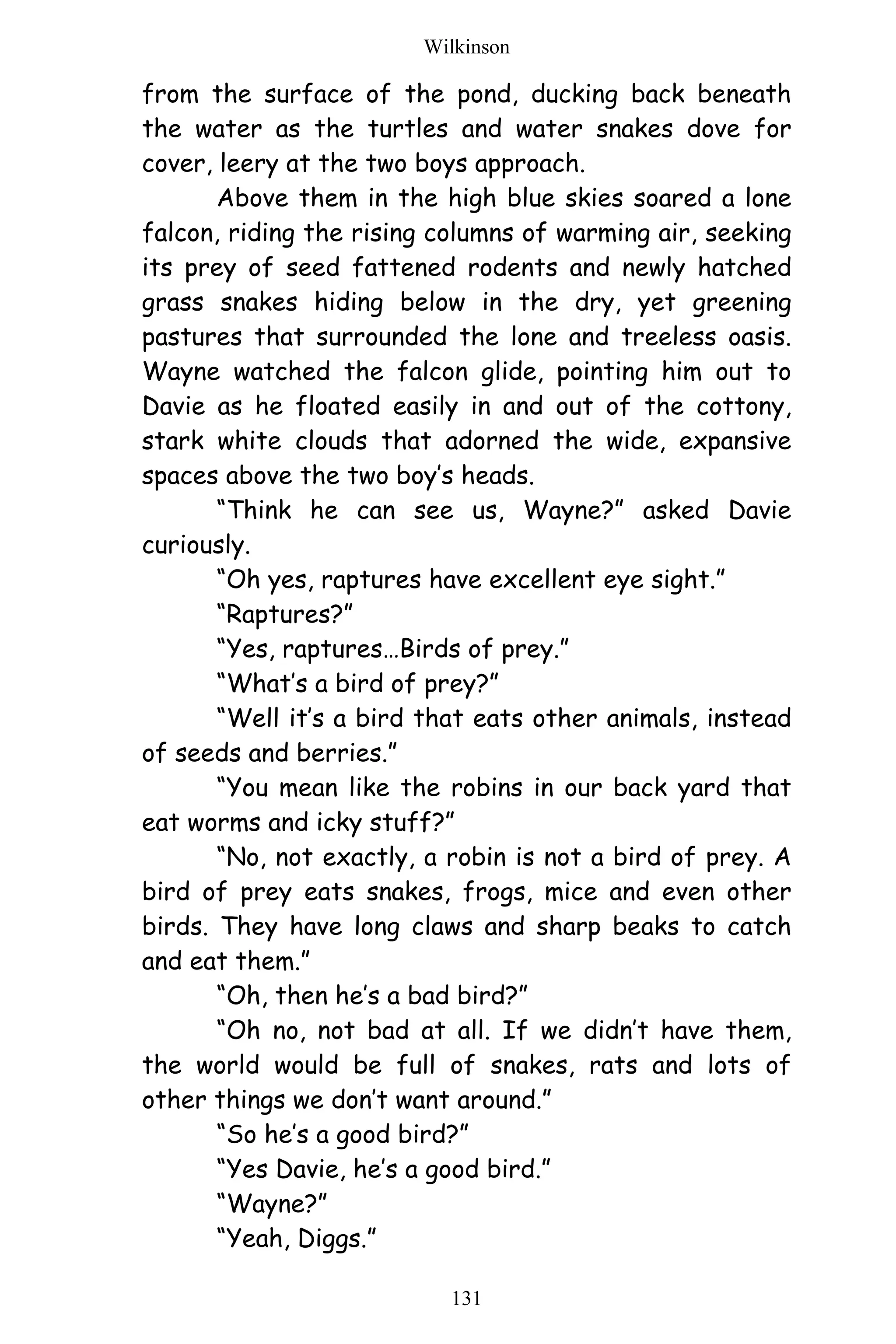 Wilkinson
131
from the surface of the pond, ducking back beneath
the water as the turtles and water snakes dove for
cover, leery at the two boys approach.
Above them in the high blue skies soared a lone
falcon, riding the rising columns of warming air, seeking
its prey of seed fattened rodents and newly hatched
grass snakes hiding below in the dry, yet greening
pastures that surrounded the lone and treeless oasis.
Wayne watched the falcon glide, pointing him out to
Davie as he floated easily in and out of the cottony,
stark white clouds that adorned the wide, expansive
spaces above the two boy’s heads.
“Think he can see us, Wayne?” asked Davie
curiously.
“Oh yes, raptures have excellent eye sight.”
“Raptures?”
“Yes, raptures…Birds of prey.”
“What’s a bird of prey?”
“Well it’s a bird that eats other animals, instead
of seeds and berries.”
“You mean like the robins in our back yard that
eat worms and icky stuff?”
“No, not exactly, a robin is not a bird of prey. A
bird of prey eats snakes, frogs, mice and even other
birds. They have long claws and sharp beaks to catch
and eat them.”
“Oh, then he’s a bad bird?”
“Oh no, not bad at all. If we didn’t have them,
the world would be full of snakes, rats and lots of
other things we don’t want around.”
“So he’s a good bird?”
“Yes Davie, he’s a good bird.”
“Wayne?”
“Yeah, Diggs.”
 