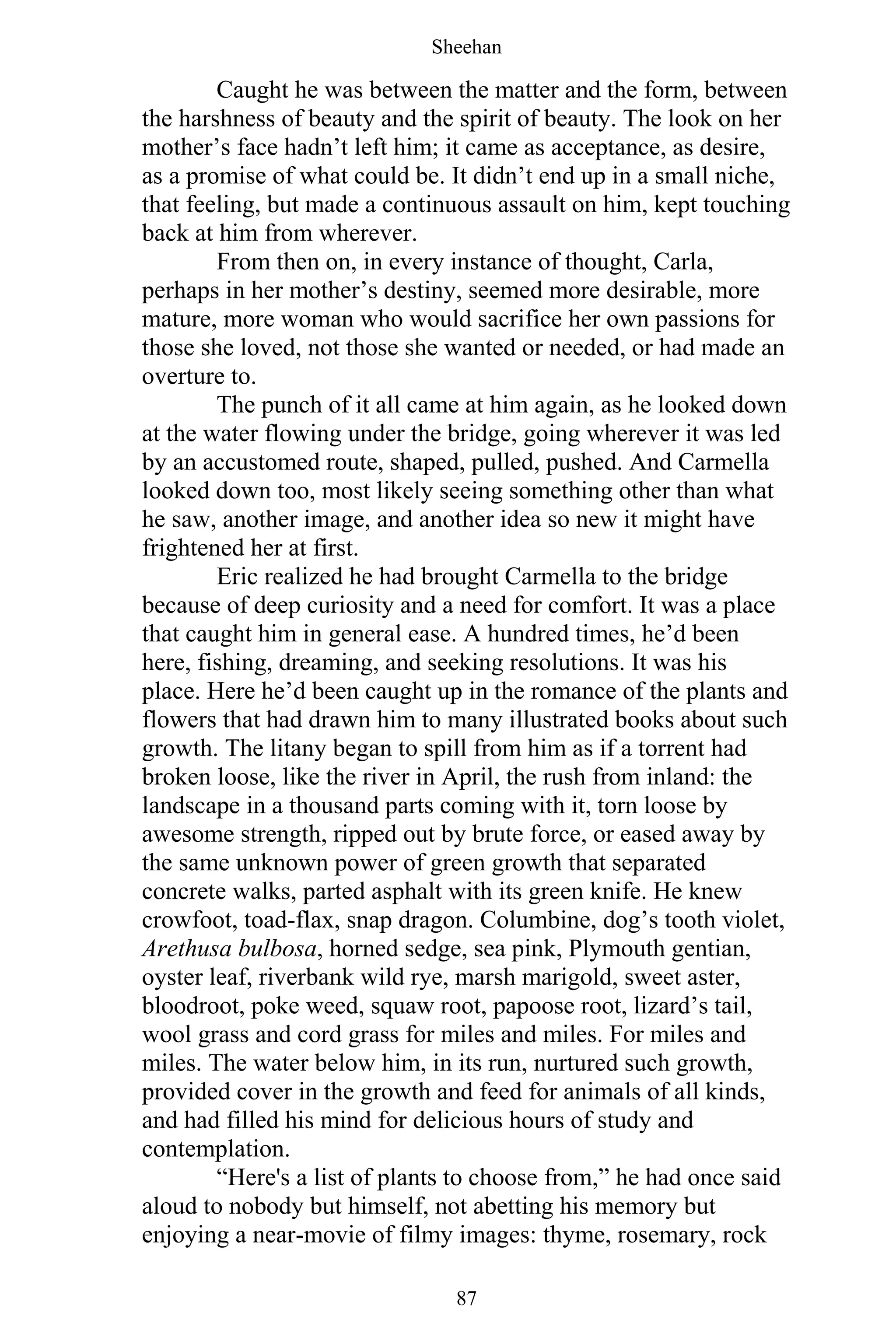 Sheehan
87
Caught he was between the matter and the form, between
the harshness of beauty and the spirit of beauty. The look on her
mother’s face hadn’t left him; it came as acceptance, as desire,
as a promise of what could be. It didn’t end up in a small niche,
that feeling, but made a continuous assault on him, kept touching
back at him from wherever.
From then on, in every instance of thought, Carla,
perhaps in her mother’s destiny, seemed more desirable, more
mature, more woman who would sacrifice her own passions for
those she loved, not those she wanted or needed, or had made an
overture to.
The punch of it all came at him again, as he looked down
at the water flowing under the bridge, going wherever it was led
by an accustomed route, shaped, pulled, pushed. And Carmella
looked down too, most likely seeing something other than what
he saw, another image, and another idea so new it might have
frightened her at first.
Eric realized he had brought Carmella to the bridge
because of deep curiosity and a need for comfort. It was a place
that caught him in general ease. A hundred times, he’d been
here, fishing, dreaming, and seeking resolutions. It was his
place. Here he’d been caught up in the romance of the plants and
flowers that had drawn him to many illustrated books about such
growth. The litany began to spill from him as if a torrent had
broken loose, like the river in April, the rush from inland: the
landscape in a thousand parts coming with it, torn loose by
awesome strength, ripped out by brute force, or eased away by
the same unknown power of green growth that separated
concrete walks, parted asphalt with its green knife. He knew
crowfoot, toad-flax, snap dragon. Columbine, dog’s tooth violet,
Arethusa bulbosa, horned sedge, sea pink, Plymouth gentian,
oyster leaf, riverbank wild rye, marsh marigold, sweet aster,
bloodroot, poke weed, squaw root, papoose root, lizard’s tail,
wool grass and cord grass for miles and miles. For miles and
miles. The water below him, in its run, nurtured such growth,
provided cover in the growth and feed for animals of all kinds,
and had filled his mind for delicious hours of study and
contemplation.
“Here's a list of plants to choose from,” he had once said
aloud to nobody but himself, not abetting his memory but
enjoying a near-movie of filmy images: thyme, rosemary, rock
 