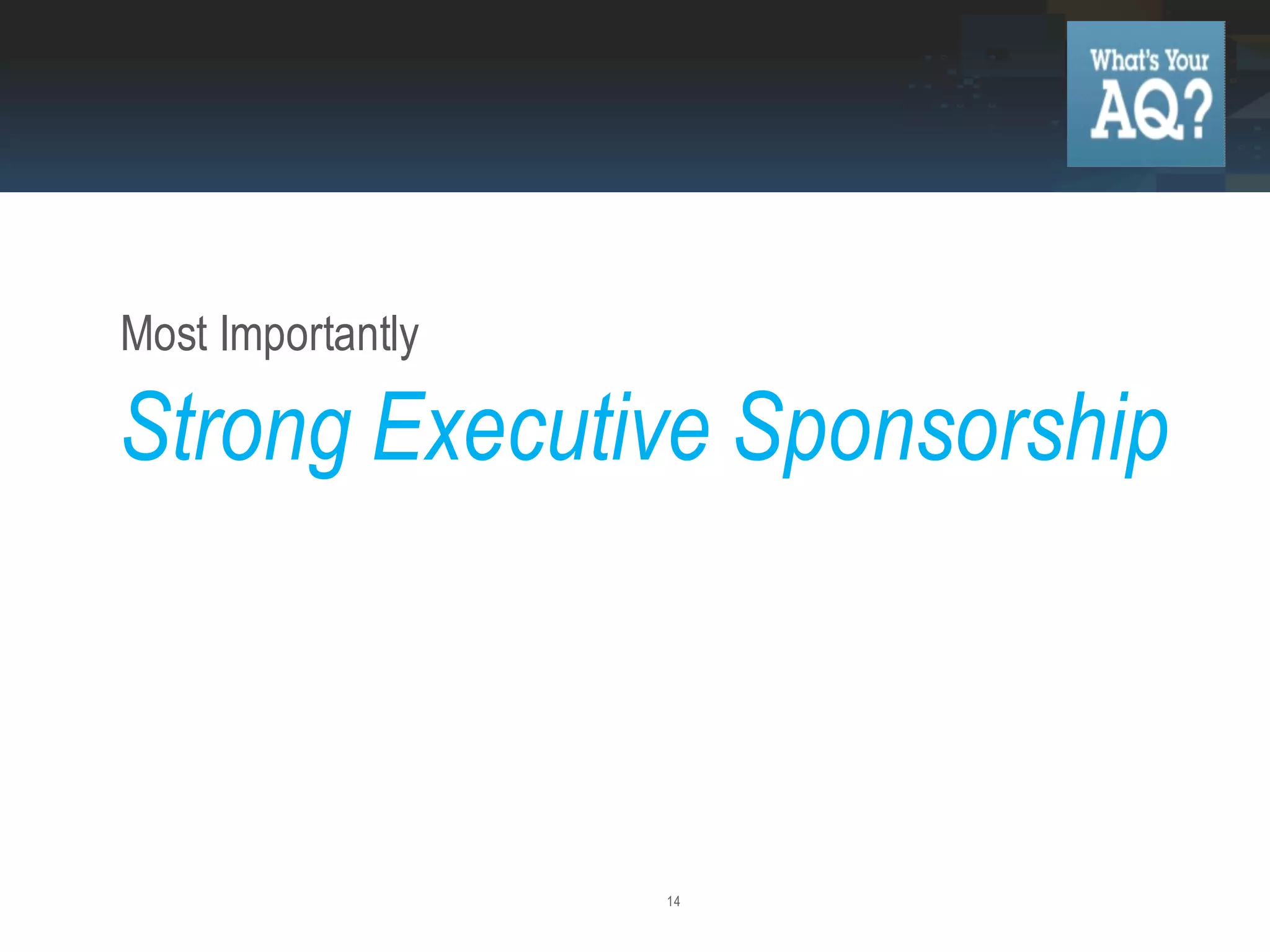 14
Most Importantly
Strong Executive Sponsorship
 
