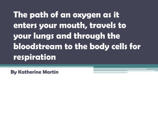 The path of an oxygen as it enters your mouth, travels to your lungs and through the bloodstream to the body cells for respiration By Katherine Martin 