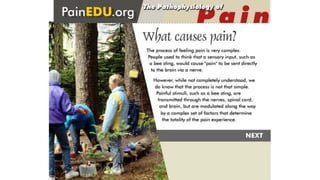 The pathophysiology of pain tool