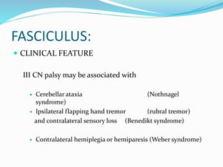 FASCICULUS:
 CLINICAL FEATURE
III CN palsy may be associated with
 Cerebellar ataxia (Nothnagel
syndrome)
 Ipsilateral flapping hand tremor (rubral tremor)
and contralateral sensory loss (Benedikt syndrome)
 Contralateral hemiplegia or hemiparesis (Weber syndrome)
 