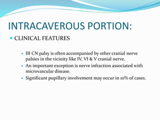 INTRACAVEROUS PORTION:
 CLINICAL FEATURES
 III CN palsy is often accompanied by other cranial nerve
palsies in the vicinity like IV, VI & V cranial nerve.
 An important exception is nerve infraction associated with
microvascular disease.
 Significant pupillary involvement may occur in 10% of cases.
 