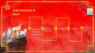 OUR PROCESS IS
EASY
Pre-bath
trimming
or clipping
Brushing /
Combing
Bathing Drying Clean the
ears
 