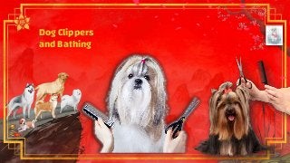 Dog Clippers
and Bathing
 