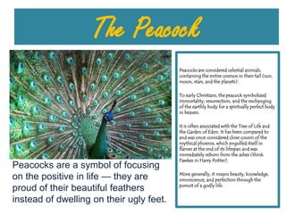 The Peacock Peacocks are considered celestial animals, containing the entire cosmos in their tail (sun, moon, stars, and the planets). To early Christians, the peacock symbolized immortality, resurrection, and the exchanging of the earthly body for a spiritually perfect body in heaven. It is often associated with the Tree of Life and the Garden of Eden. It has been compared to and was once considered close cousin of the mythical phoenix, which engulfed itself in flames at the end of its lifespan and was immediately reborn from the ashes (think Fawkes in Harry Potter).  More generally, it means beauty, knowledge, omniscience, and perfection through the pursuit of a godly life. Peacocks are a symbol of focusing on the positive in life — they are proud of their beautiful feathers instead of dwelling on their ugly feet. 