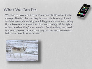 What We Can Do
• We need to do our part to limit our contributions to climate
change. That involves cutting down on the burning of fossil
fuels for example; walking and biking to places or carpooling
if you have to use a motor vehicle, and turning off the lights
or heater when they’re not needed. Another thing we can do
is spread the word about the Peary caribou and how we can
help save them from extinction.
 