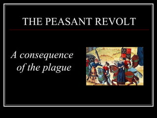 THE PEASANT REVOLT ,[object Object]