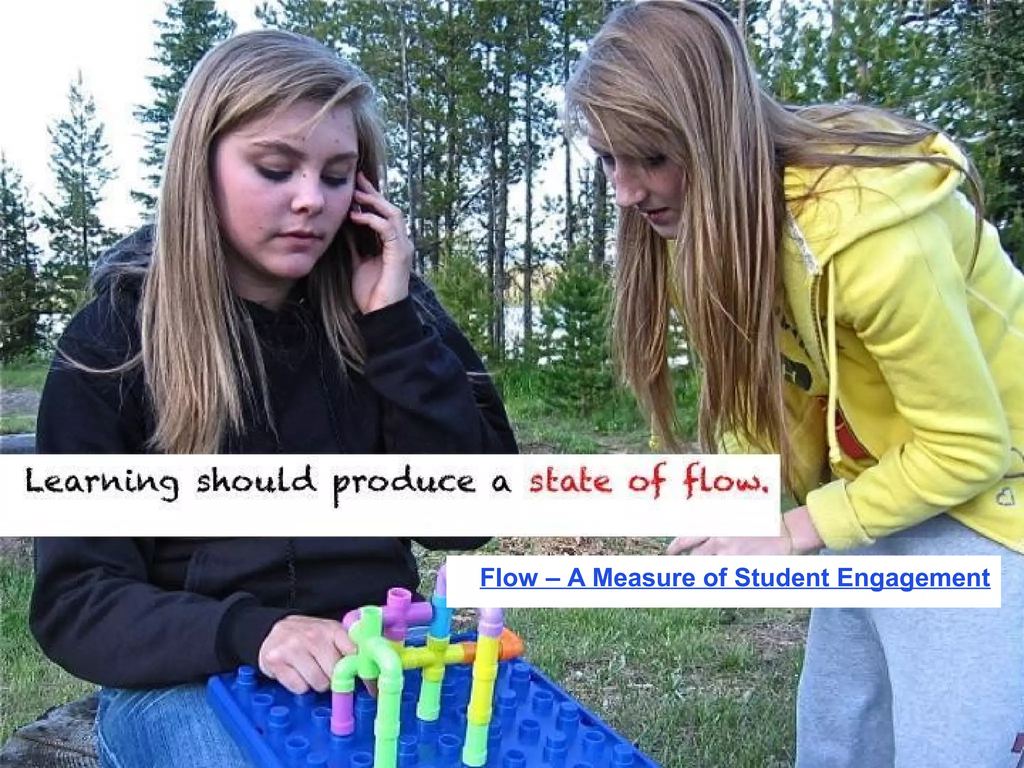 Learning should produce a state of flow.
Flow – A Measure of Student Engagement
 