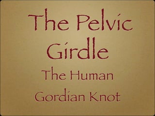 The Pelvic
 Girdle
 The Human
Gordian Knot
 