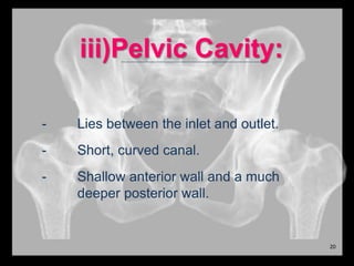 iii)Pelvic Cavity:
- Lies between the inlet and outlet.
- Short, curved canal.
- Shallow anterior wall and a much
deeper posterior wall.
20
 