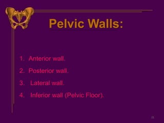 Pelvic Walls:
1. Anterior wall.
2. Posterior wall.
3. Lateral wall.
4. Inferior wall (Pelvic Floor).
21
 