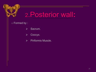 2.Posterior wall:
o Formed by :
 Sacrum.
 Coccyx.
 Piriformis Muscle.
25
 
