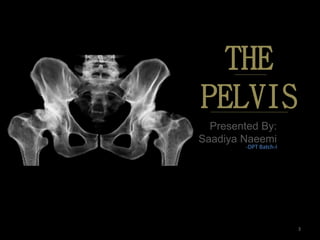THE
PELVIS
Presented By:
Saadiya Naeemi
3
-DPT Batch-I
 