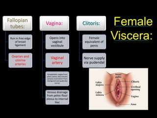 60
Fallopian
tubes:
Run in free edge
of broad
ligament
Ovarian and
uterine
arteries
Vagina:
Opens into
vaginal
vestibule
Vaginal
artery
Sympathetic supply from
pelvic plexus and somatic
sensory innervation from
ilioinguinal and pudendal
nerves
Venous drainage
from pelvic floor
plexus to internal
iliac
Clitoris:
Female
equivalent of
penis
Nerve supply
via pudendal
Female
Viscera:
 