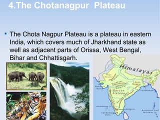 4.The Chotanagpur Plateau

The Chota Nagpur Plateau is a plateau in eastern
India, which covers much of Jharkhand state as
well as adjacent parts of Orissa, West Bengal,
Bihar and Chhattisgarh.
 