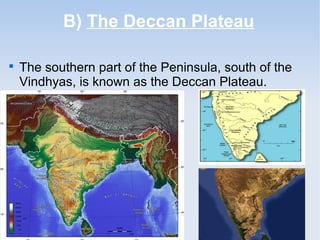 B) The Deccan Plateau

The southern part of the Peninsula, south of the
Vindhyas, is known as the Deccan Plateau.
 