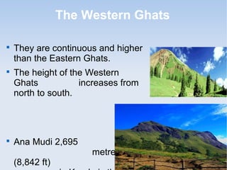 The Western Ghats

They are continuous and higher
than the Eastern Ghats.

The height of the Western
Ghats increases from
north to south.

Ana Mudi 2,695
metres
(8,842 ft)
 