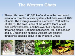 The Western Ghats

These hills cover 1,60,000 km² and form the catchment
area for a complex of river systems that drain almost 40%
of India. The average elevation is around 1,200 metres
(3,900 ft). The area is one of the world’s ten "Hottest
biodiversity hotspots” and has over 5000 species of
flowering plants, 139 mammal species, 508 bird species
and 179 amphibian species. At least 325 globally
threatened species occur in the Western Ghats.
 