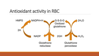 The pentose phosphate pathway | PPTX