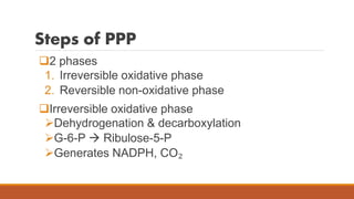 The pentose phosphate pathway | PPTX