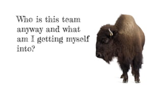 Who is this team
anyway and what
am I getting myself
into?
 