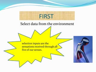              FIRSTSelect data from the environmentselection inputs are the sensations received through all five of our senses.