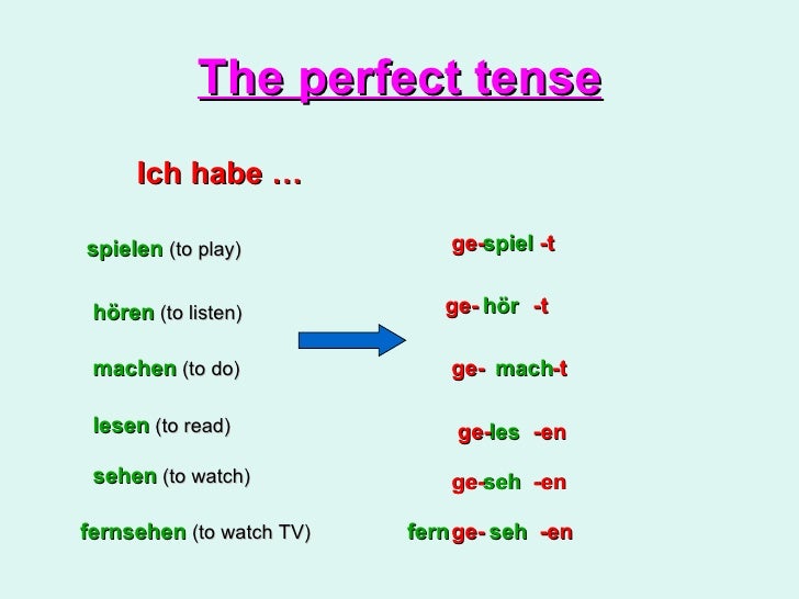 The Perfect Tense (Haben) Cl