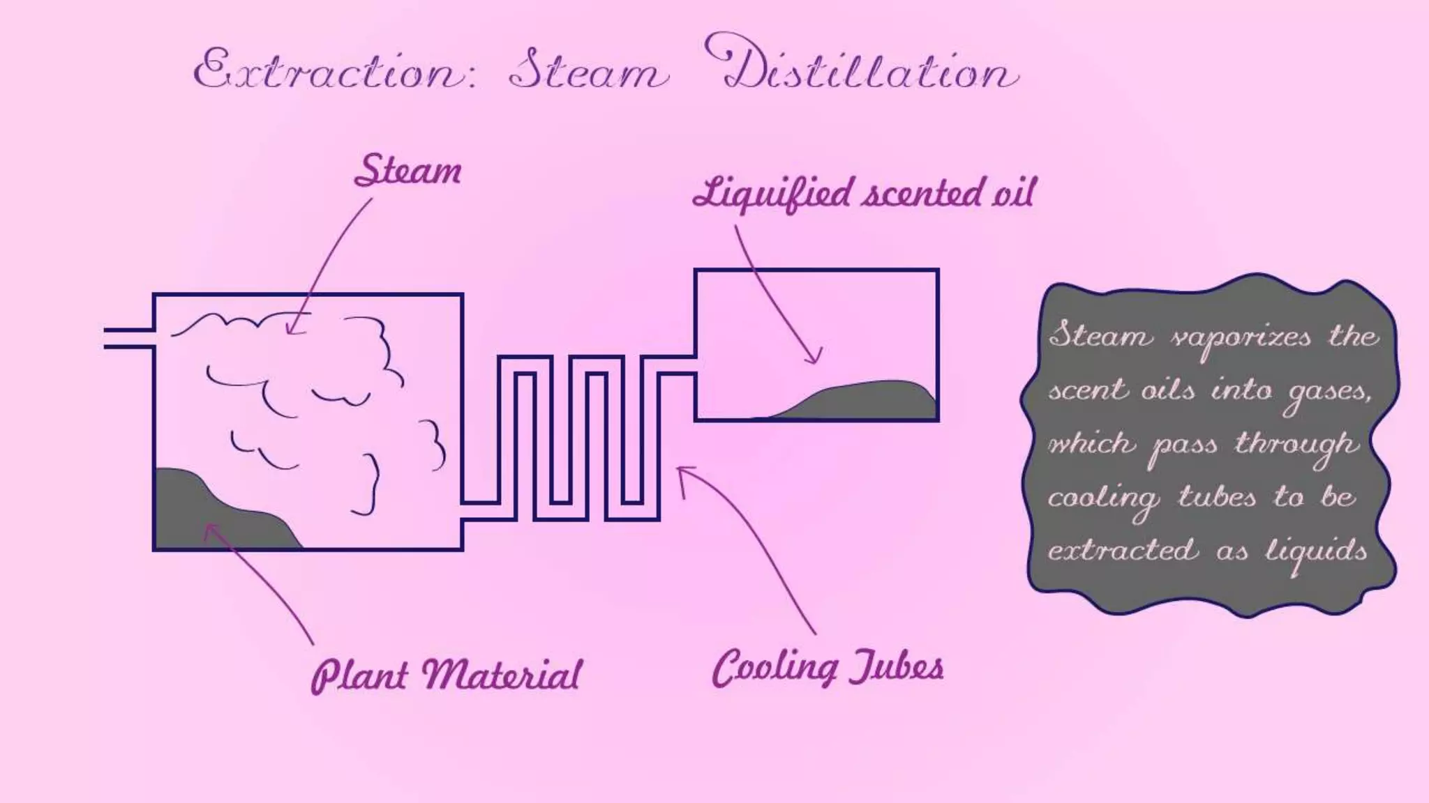 The Perfume Project - Part 1