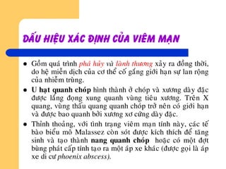 Daáu hieäu xaùc ñònh cuûa vieâm maïn
 Goàm quaù trình phaù huûy vaø laønh thöông xaûy ra ñoàng thôøi,
do heä mieãn dòch cuûa cô theå coá gaéng giôùi haïn söï lan roäng
cuûa nhieãm truøng.
 U haït quanh choùp hình thaønh ôû choùp vaø xöông daøy ñaëc
ñöôïc laéng ñoïng xung quanh vuøng tieâu xöông. Treân X
quang, vuøng thaáu quang quanh choùp trôû neân coù giôùi haïn
vaø ñöôïc bao quanh bôûi xöông xô cöùng daøy ñaëc.
 Thænh thoaûng, vôùi tình traïng vieâm maïn tính naøy, caùc teá
baøo bieåu moâ Malassez coøn soùt ñöôïc kích thích ñeå taêng
sinh vaø taïo thaønh nang quanh choùp hoaëc coù moät ñôït
buøng phaùt caáp tính taïo ra moät aùp xe khaùc (ñöôïc goïi laø aùp
xe di cö phoenix abscess).
 