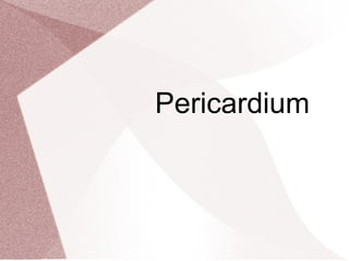 Pericardium
 