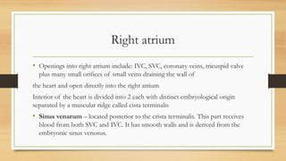 The pericardium and heart power point.pptx