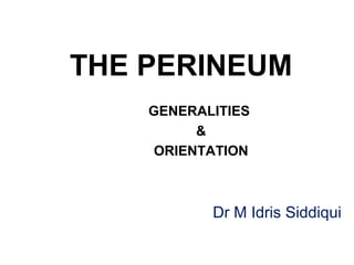 THE PERINEUM
GENERALITIES
&
ORIENTATION
Dr M Idris Siddiqui
 