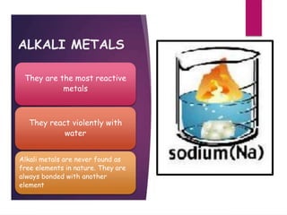 ALKALI METALS
They are the most reactive
metals
They react violently with
water
Alkali metals are never found as
free elements in nature. They are
always bonded with another
element
 