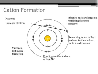 Cation Formation
Na atom                                   Effective nuclear charge on
                                          remaining electrons
1 valence electron                        increases.




                      11p+                 Remaining e- are pulled
                                           in closer to the nucleus.
                                           Ionic size decreases.
      Valence e-
      lost in ion
      formation
                     Result: a smaller sodium
                     cation, Na+
 