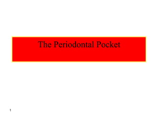 1
The Periodontal Pocket
 
