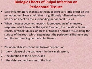 Biologic Effects of Pulpal Infection on
Periodontal Tissues
• Early inflammatory changes in the pulp exert very little effect on the
periodontium. Even a pulp that is significantly inflamed may have
little or no effect on the surrounding periodontal tissues.
• When the pulp becomes necrotic, it produces an inflammatory
response, which traverse the apical foramen, the furcation, lateral
canals, dentinal tubules, or areas of trapped necrotic tissue along the
surface of the root, which extend past the periodontal ligament and
into the surrounding periradicular tissues
• Periodontal destruction that follows depends on
1. the virulence of the pathogens in the canal system,
2. the duration of the disease, and
3. the defense mechanisms of the host
 