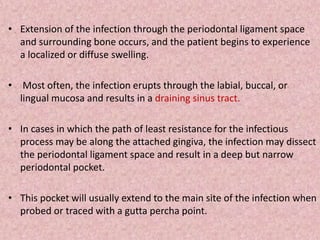 • Extension of the infection through the periodontal ligament space
and surrounding bone occurs, and the patient begins to experience
a localized or diffuse swelling.
• Most often, the infection erupts through the labial, buccal, or
lingual mucosa and results in a draining sinus tract.
• In cases in which the path of least resistance for the infectious
process may be along the attached gingiva, the infection may dissect
the periodontal ligament space and result in a deep but narrow
periodontal pocket.
• This pocket will usually extend to the main site of the infection when
probed or traced with a gutta percha point.
 