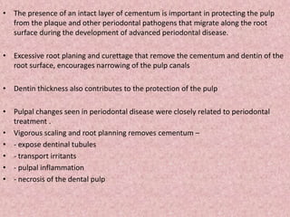 • The presence of an intact layer of cementum is important in protecting the pulp
from the plaque and other periodontal pathogens that migrate along the root
surface during the development of advanced periodontal disease.
• Excessive root planing and curettage that remove the cementum and dentin of the
root surface, encourages narrowing of the pulp canals
• Dentin thickness also contributes to the protection of the pulp
• Pulpal changes seen in periodontal disease were closely related to periodontal
treatment .
• Vigorous scaling and root planning removes cementum –
• - expose dentinal tubules
• - transport irritants
• - pulpal inflammation
• - necrosis of the dental pulp
 