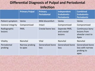 Differential Diagnosis of Pulpal and Periodontal
Infection
Primary Pulpal Primary
Periodontal
Independent
Endodontic-
Periodontic
Combined
Endodontic-
Periodontic
Patient symptom Varies Mild discomfort Varies Varies
Coronal integrity Compromised Intact Compromised Compromised
Radiographic
lesions
PARL Crestal bone loss Seperate PARL
and crestal
lesions
Continuous bony
lesions from
alveolar crest to
Apex
Vitality Nonvital Vital Nonvital Nonvital
Periodontal
probing
Narrow probing
to apex
Generalized bone
loss
Generalized bone
loss
Generalized bone
loss with narrow
probing to
apex
 