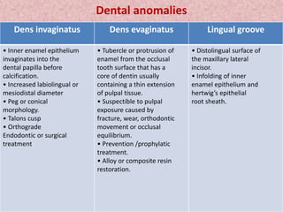Dental anomalies
Dens invaginatus Dens evaginatus Lingual groove
• Inner enamel epithelium
invaginates into the
dental papilla before
calcification.
• Increased labiolingual or
mesiodistal diameter
• Peg or conical
morphology.
• Talons cusp
• Orthograde
Endodontic or surgical
treatment
• Tubercle or protrusion of
enamel from the occlusal
tooth surface that has a
core of dentin usually
containing a thin extension
of pulpal tissue.
• Suspectible to pulpal
exposure caused by
fracture, wear, orthodontic
movement or occlusal
equilibrium.
• Prevention /prophylatic
treatment.
• Alloy or composite resin
restoration.
• Distolingual surface of
the maxillary lateral
incisor.
• Infolding of inner
enamel epithelium and
hertwig’s epithelial
root sheath.
 