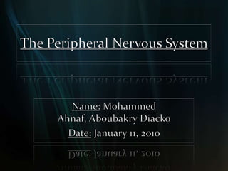 The Peripheral Nervous System Name: Mohammed Ahnaf, AboubakryDiacko Date: January 11, 2010 