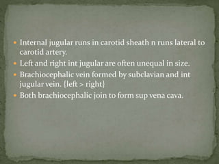  Internal jugular runs in carotid sheath n runs lateral to
carotid artery.
 Left and right int jugular are often unequal in size.
 Brachiocephalic vein formed by subclavian and int
jugular vein. {left > right}
 Both brachiocephalic join to form sup vena cava.
 